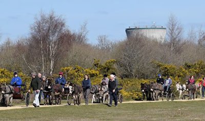 Greenham Common 2015 – South