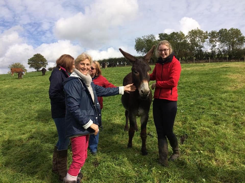 5 The Donkey Breed Society