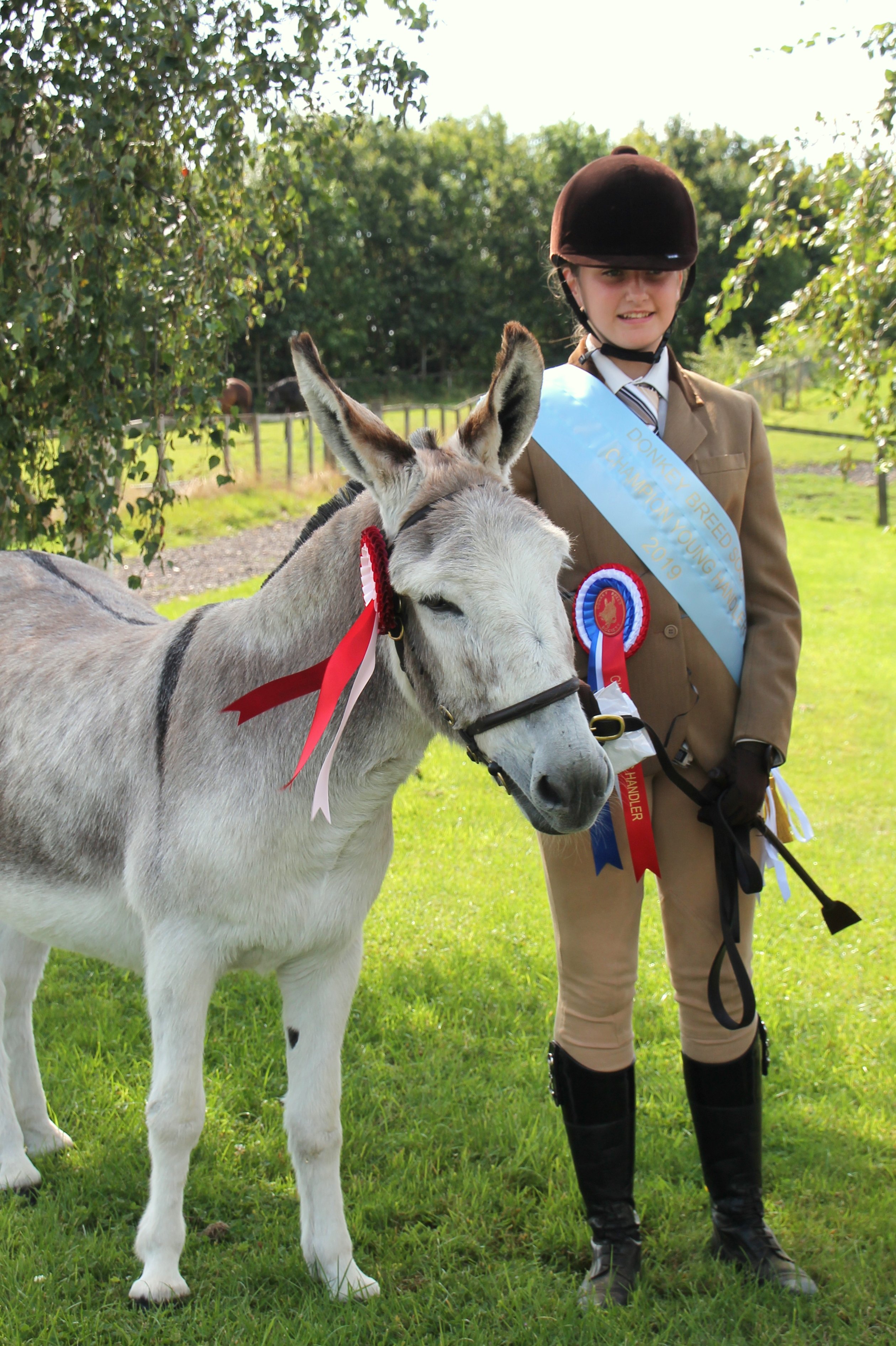 Young handler 2019 The Donkey Breed Society