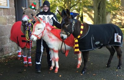 Jill Castles from Lurgan with her donkeys Percy , Dave the Rave and Dec setting off on the Carrot Chase.