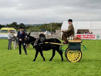 Declan Feeney and Camilla getting first in the driving class