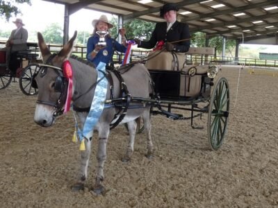 Debbie Street and Hapgood Supreme Champion Driving