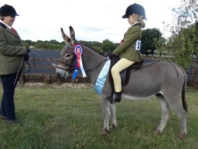 Junior Ridden Champion Bluebell Abbot and Brownroad Kingcup