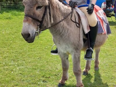 Northern Region Coronation Spring Show 2023