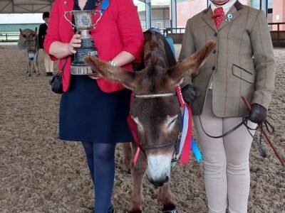 Champion Junior Handler and Champion Junior Rider Olivia Mingham and Toadflax of Brownroad