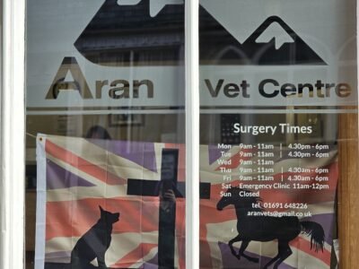 Aran Vet Centra IWAD Display